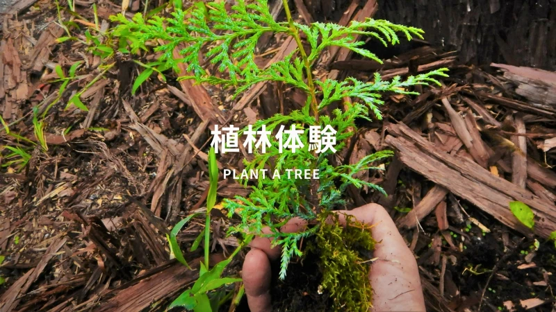 {"jp":"植林体験","en":"Sumitomo Pavilion Exhibition Experience\n            \"PLANT A TREE\""}