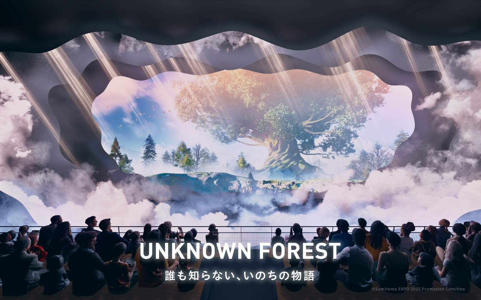 UNKNOWN FOREST 新情報公開